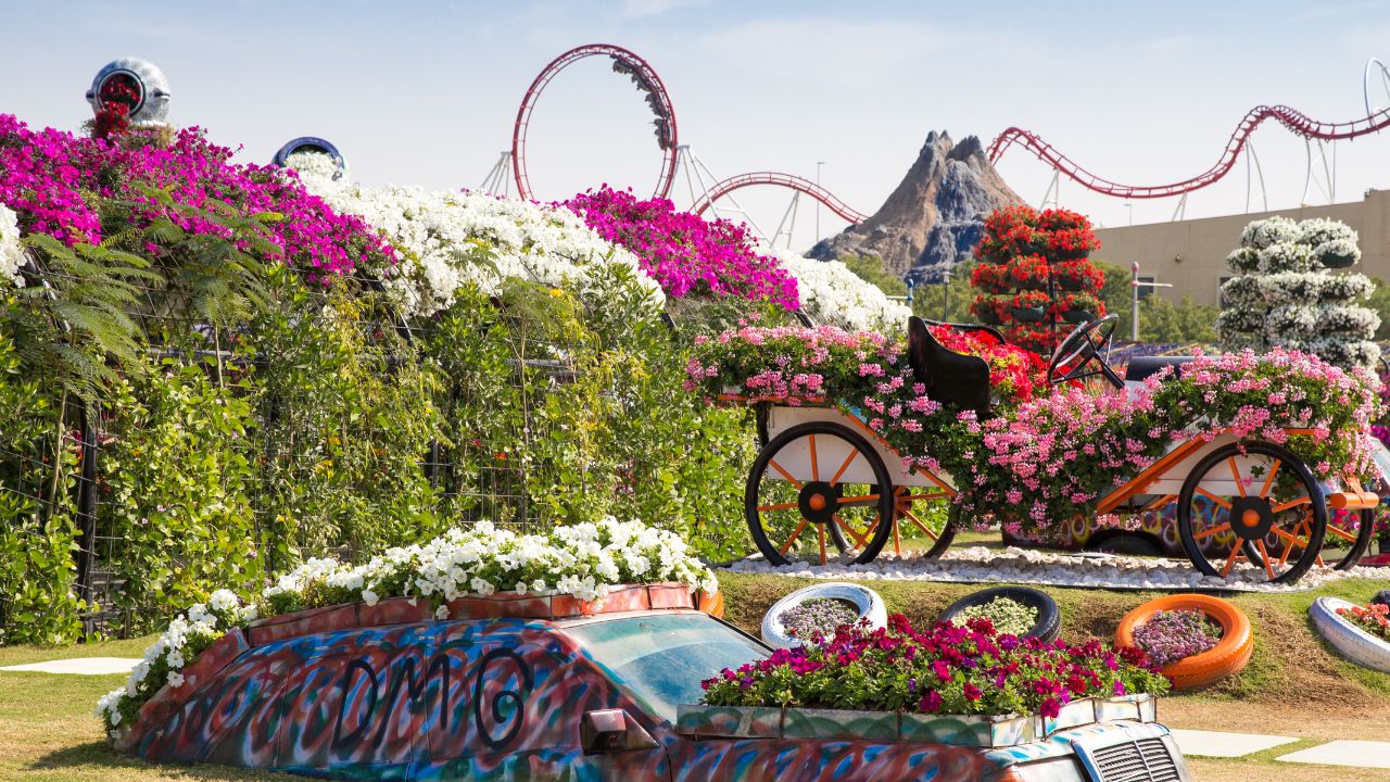 Discover the Best Flowers in Dubai: Your Ultimate Guide to Floral Excellence