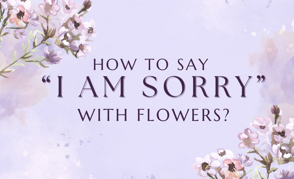 Best Ways to Say Sorry With Flowers (Perfect Ideas)