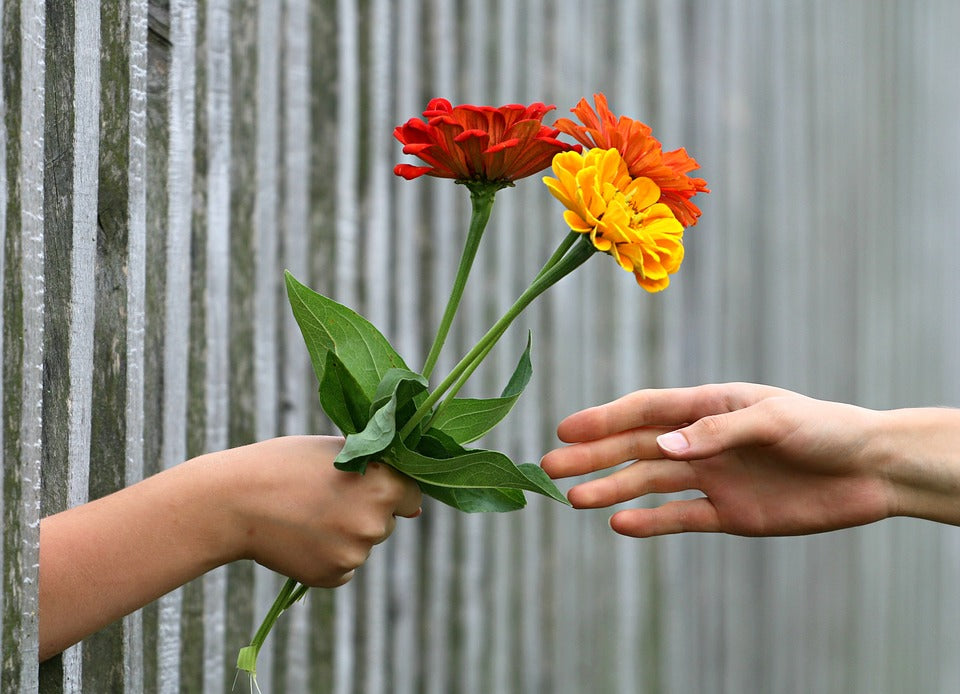 Why do Flowers make us Happy? Psychology and Benefits of Flowers