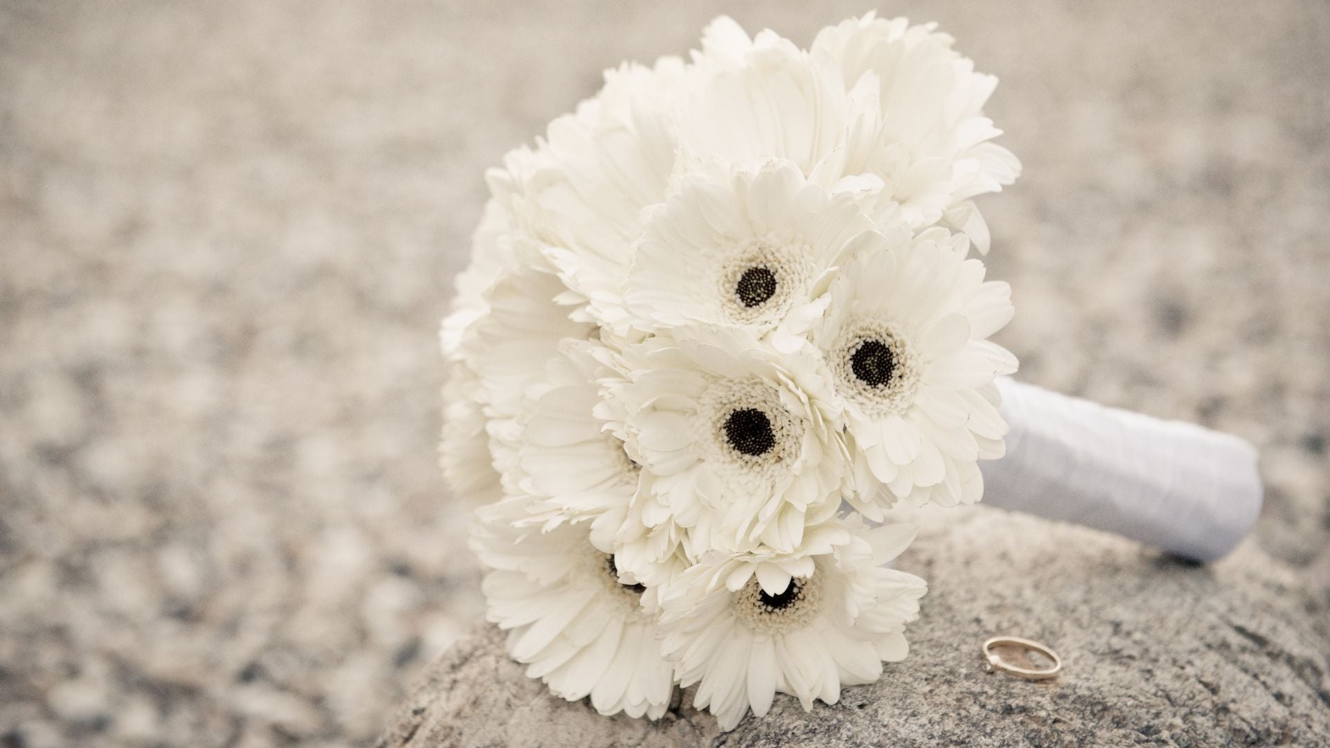 What does White Flowers mean in Dubai (UAE)? Sentiments.ae