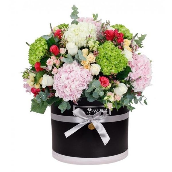 ♡aromantic hydrangea♡ The Endless Summer Summer Crush Hydrangea by our AC unit is
