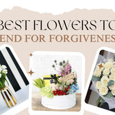 Best Flowers to Send for Forgiveness in Dubai, UAE