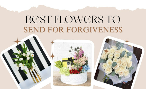 7 Best Flowers to Send for Forgiveness in Dubai, UAE