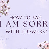 Best Ways to Say Sorry With Flowers (Perfect Ideas)