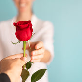 How Much Does a Single Rose Cost in Dubai? Guide to Flower Prices in UAE