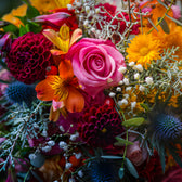 What Does Different Flower Color Meanings And Symbolism (UAE)