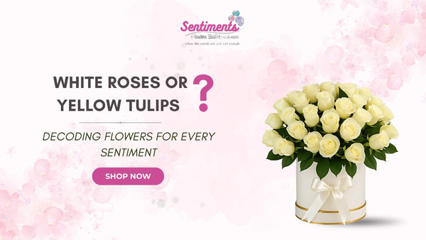 White Roses or Yellow Tulips? Decoding Flowers for Every Sentiment