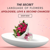The Secret Language of Flowers: Apologies, Love & Second Chances
