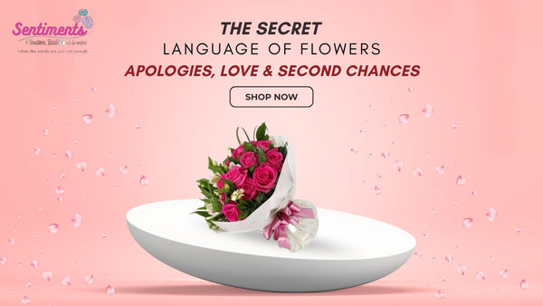 The Secret Language of Flowers: Apologies, Love & Second Chances
