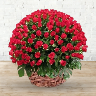 100 Red Roses A Gift Of Love