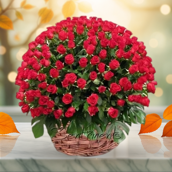 100 Red Roses A Gift Of Love