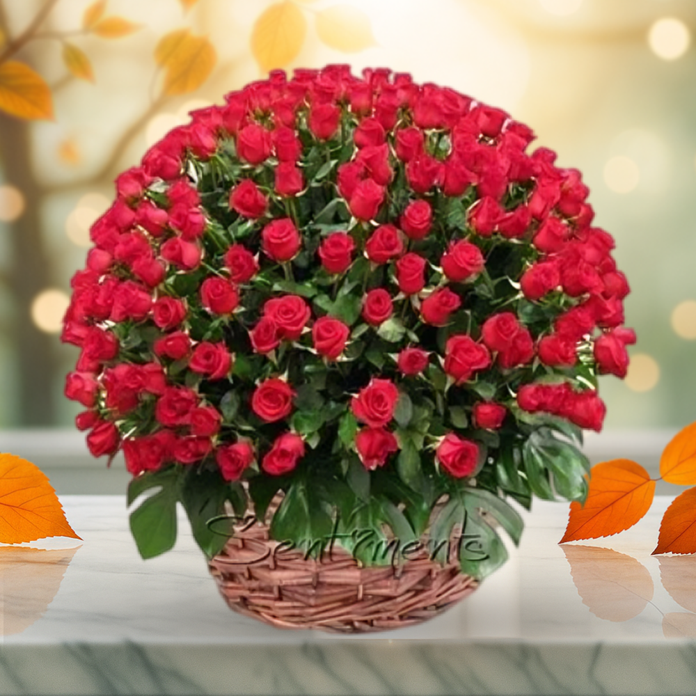 100 Red Roses A Gift Of Love