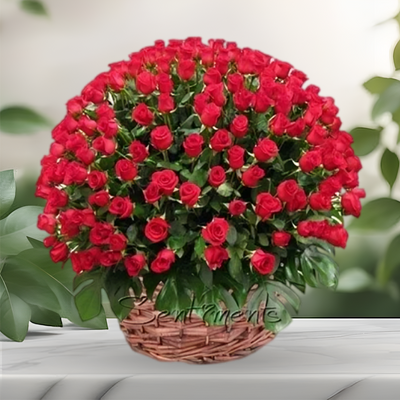 100 Red Roses A Gift Of Love