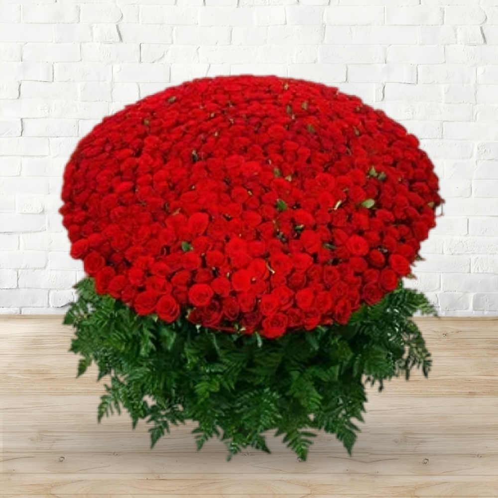 500 Red Roses - GRAND LOVE