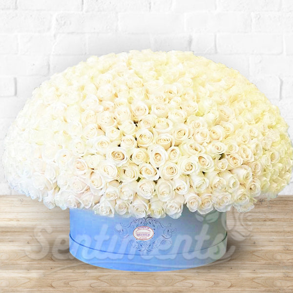 Full Romance White Roses Flowers Arrangement