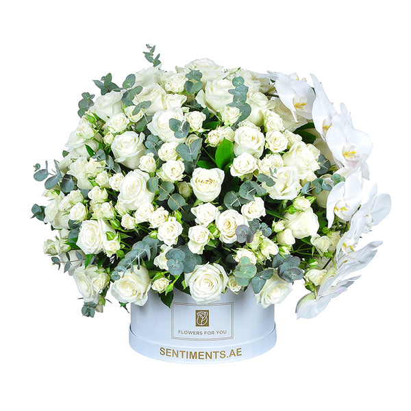 Elegance in White Phalaenopsis & Roses Mixed Flowers Fresh Flower Arrangements