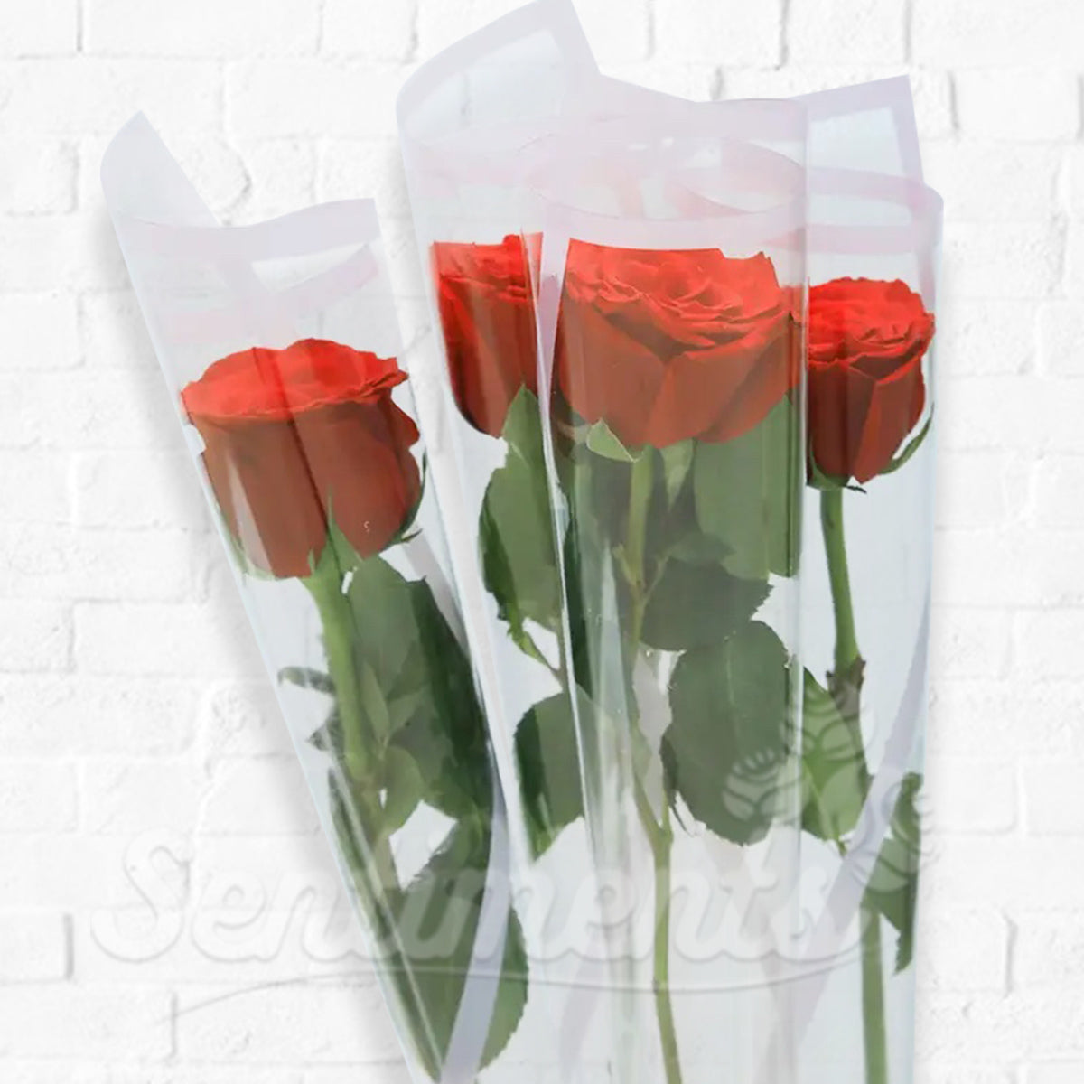Single Wrapped Red Roses – Sentiments.ae