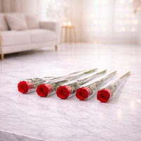 5 single red roses in clear sleeves