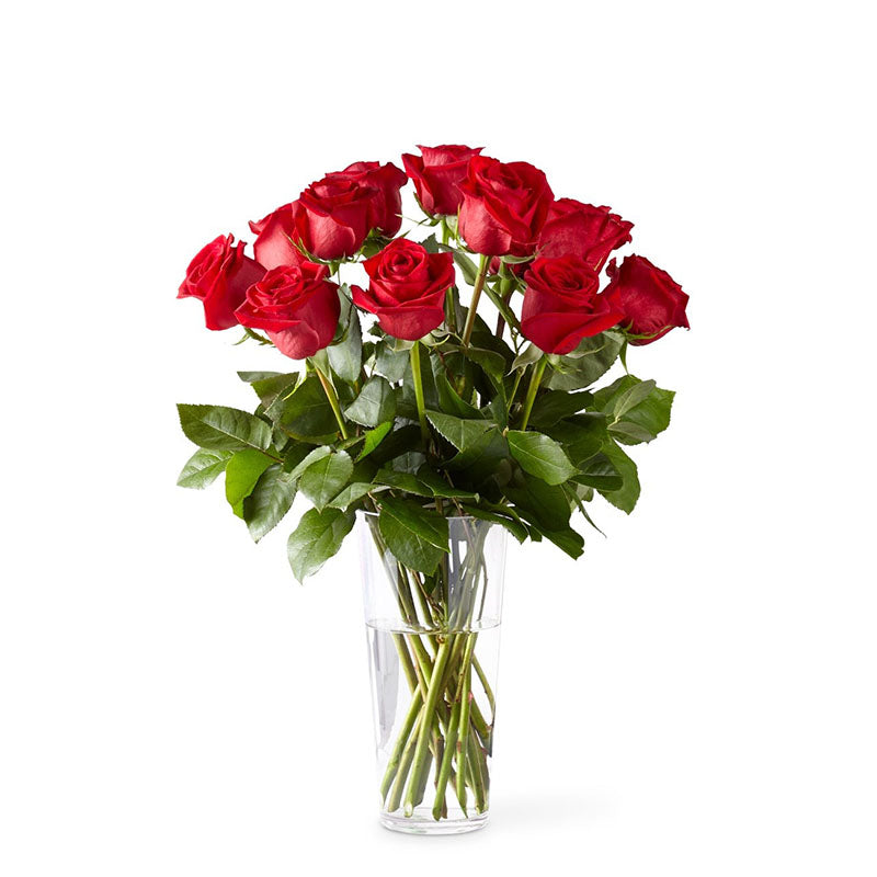 Dozen of Love Red Roses Fresh Flower Arrangement on a Glass Vase