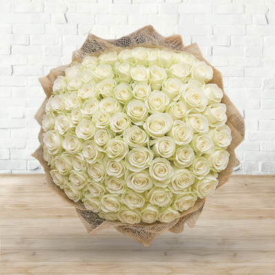 Gracious Purity White Roses Fresh Flower Hand Bouquet