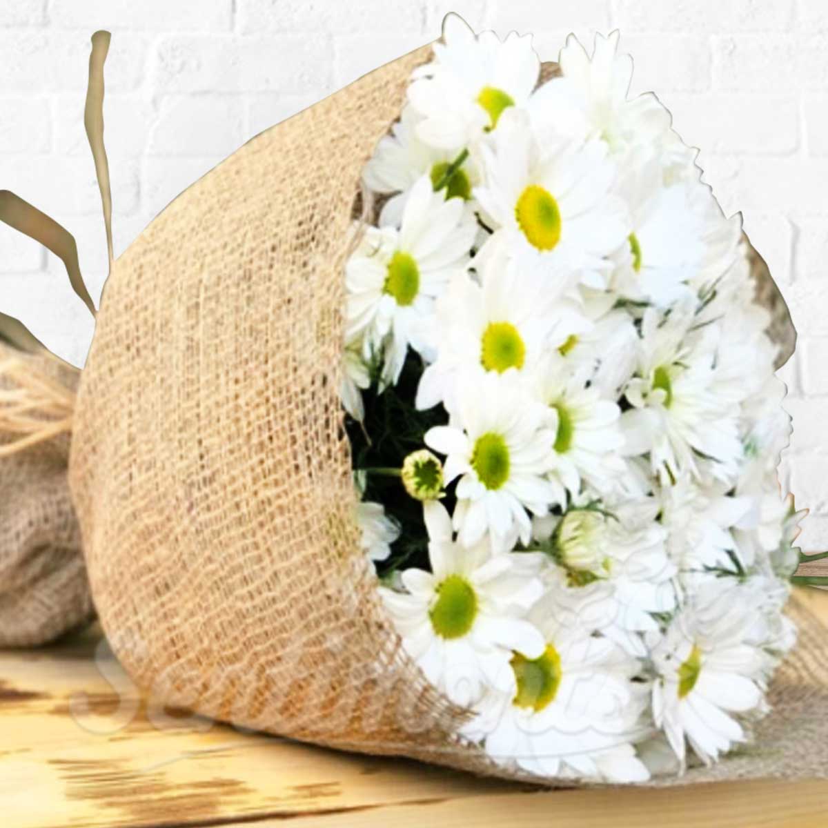 Mini White Chrysanthemum Daisy Fresh Flower  Hand Bouquet