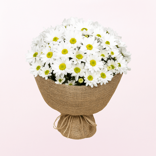 Mini White Chrysanthemum Daisy Fresh Flower  Hand Bouquet
