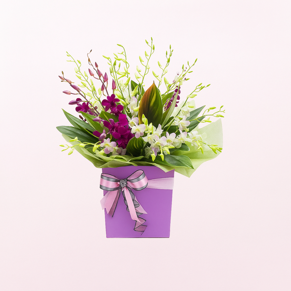 Love Orchids