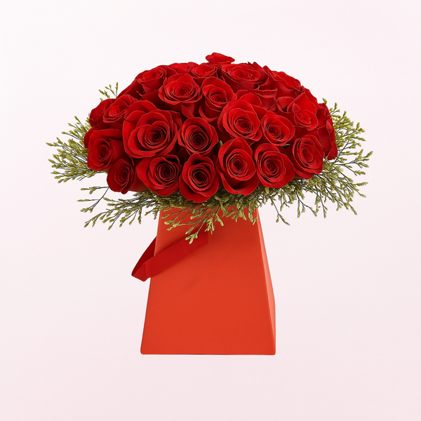 Red Roses Beauty
