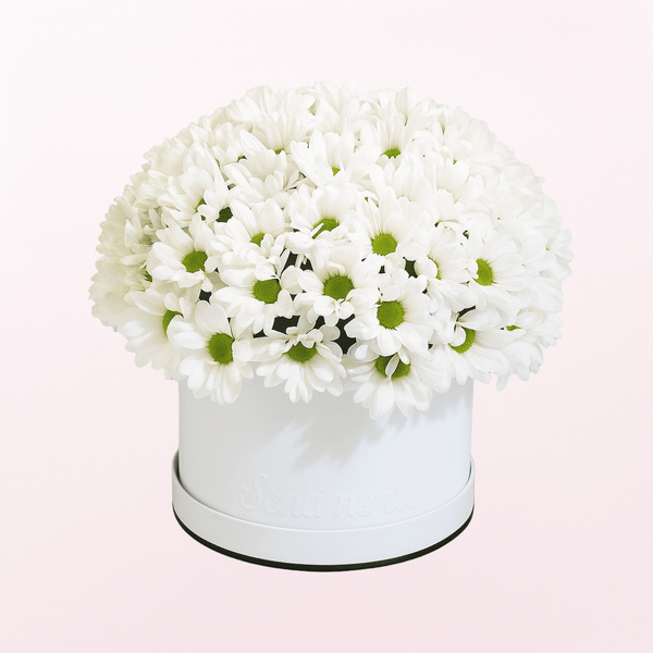 Box of White Flowers