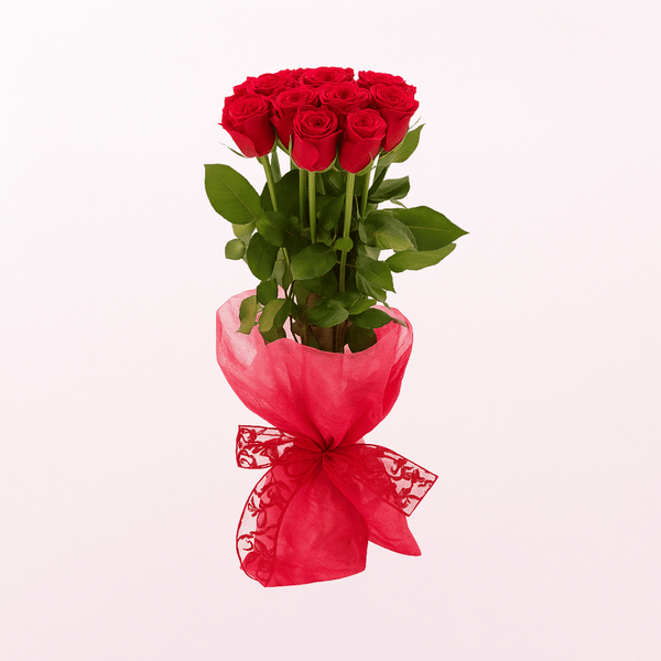 Beloved -12 Roses
