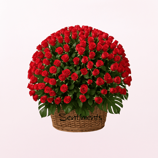 100 Red Roses A Gift Of Love