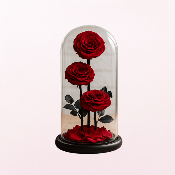Majestic Love Red Infinity Rose - Long Lasting Forever Rose - 3stem