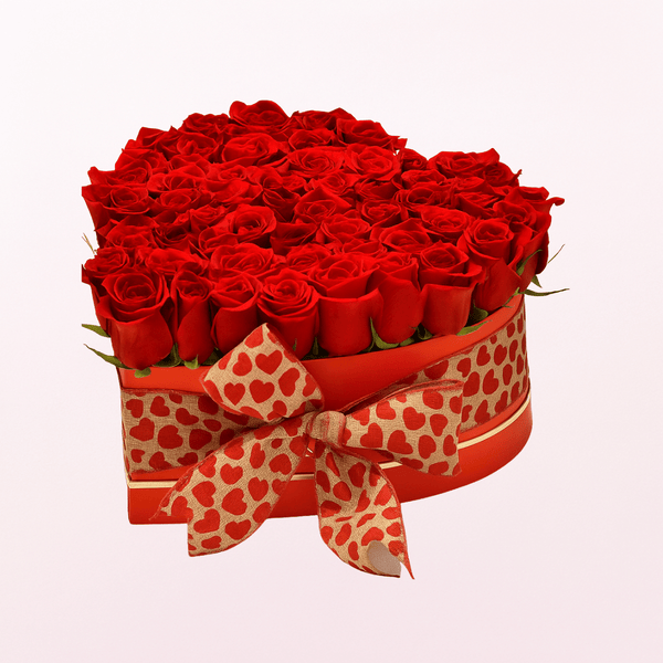 Red Roses Beauty