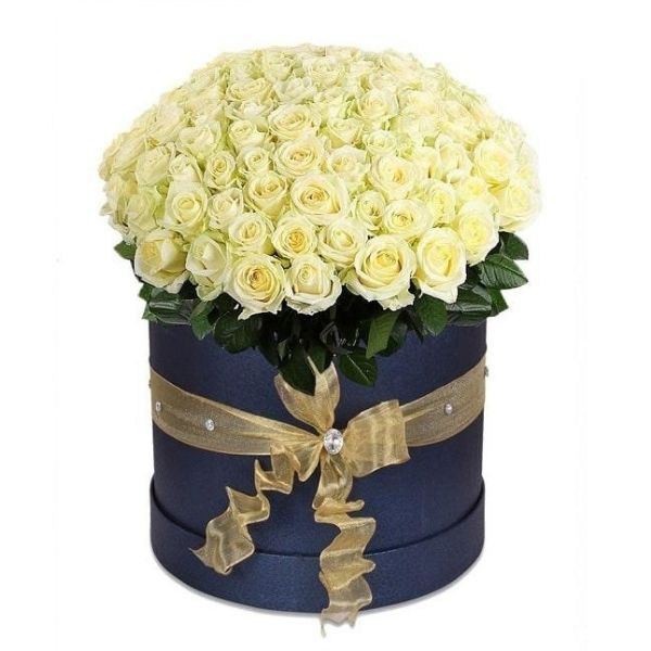 50 White Rose Box