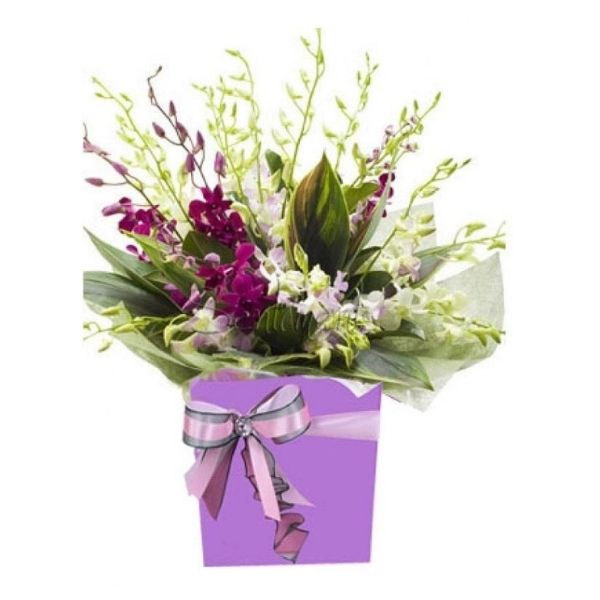 Love Orchids
