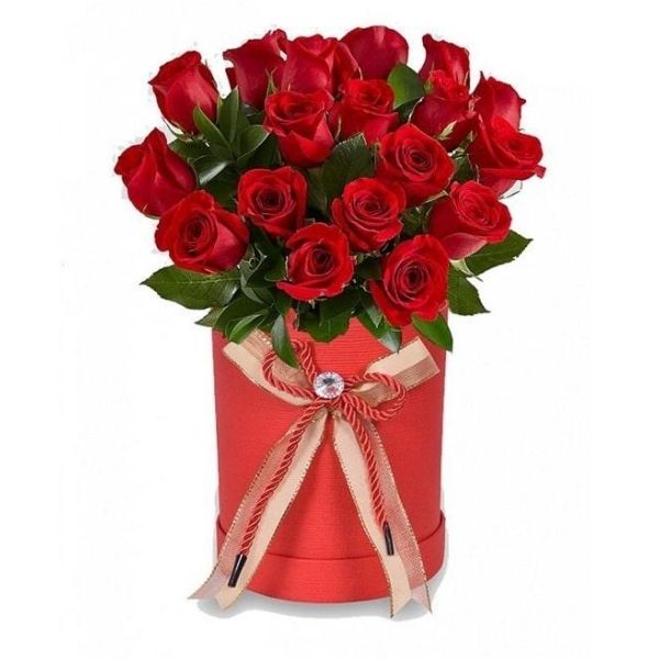 18 Red Roses in Red