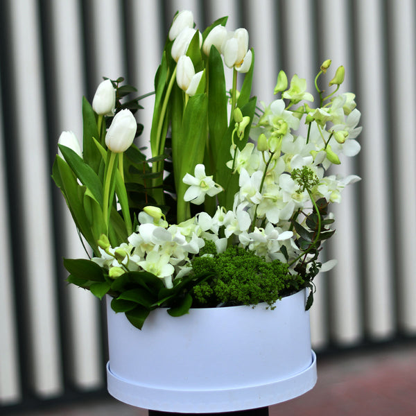 Harmonious Pure White Tulips and Orchids Flowers  Arrangement