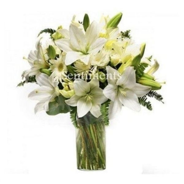 White Perfection in glass vase