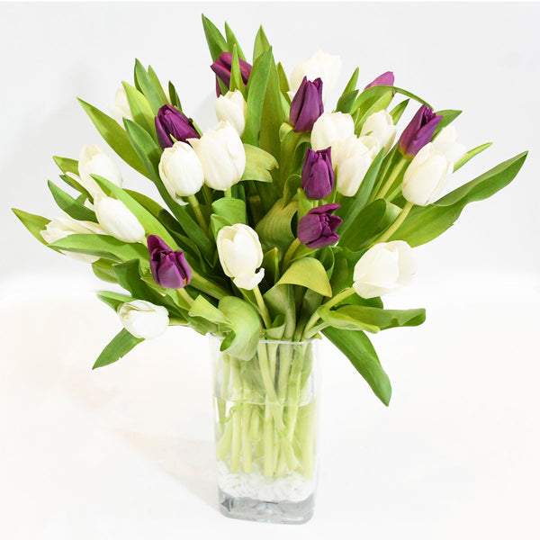 Mixed Tulip Beauty Flowers in a Vase  PRE-ORDER 1DAY In Advance