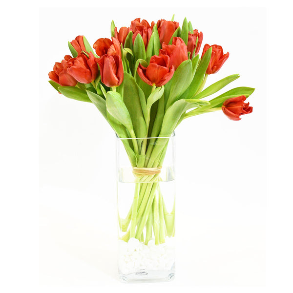 Red Tulips Expression  PRE-ORDER 1DAY In Advance
