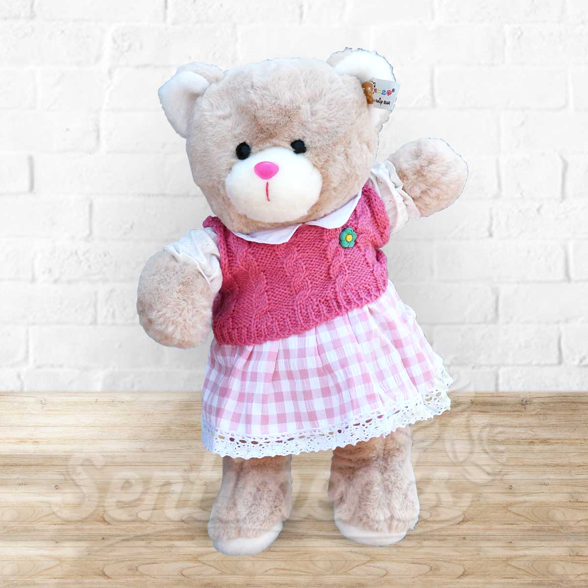 Baby Pink Teddy  - Dress-up