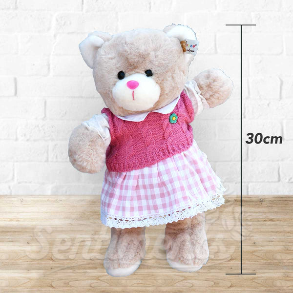 Baby Pink Teddy  - Dress-up