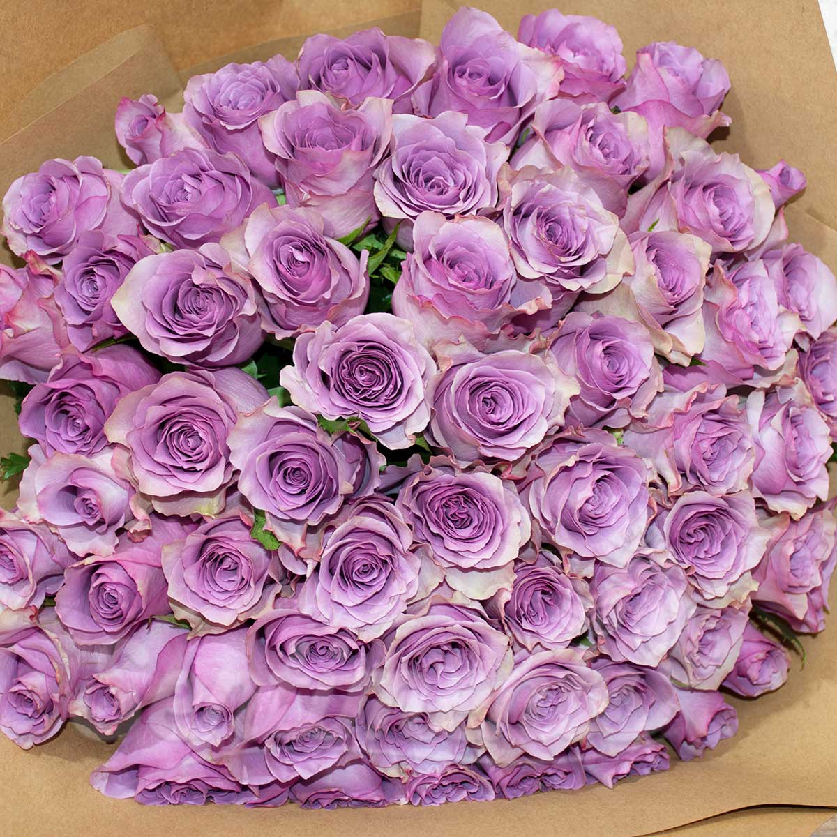 Pure Purple Rose Hand Bouquet