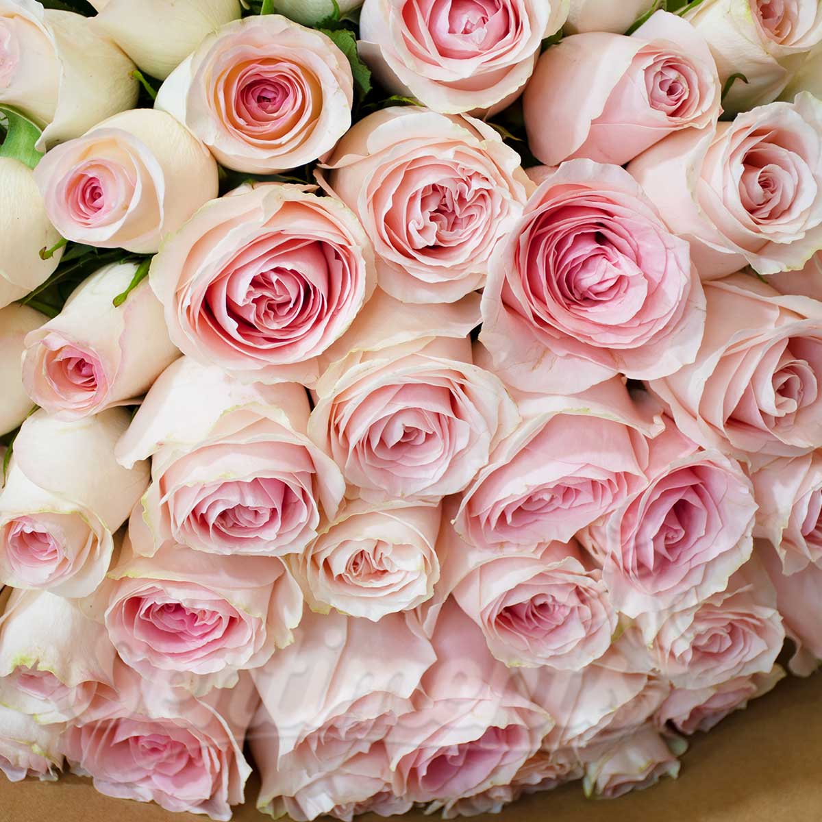 Pink Roses Flower Hand Bouquet