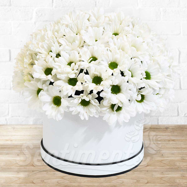 Box of White Flowers