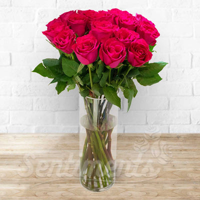 Lovely Red Roses on a  Vase