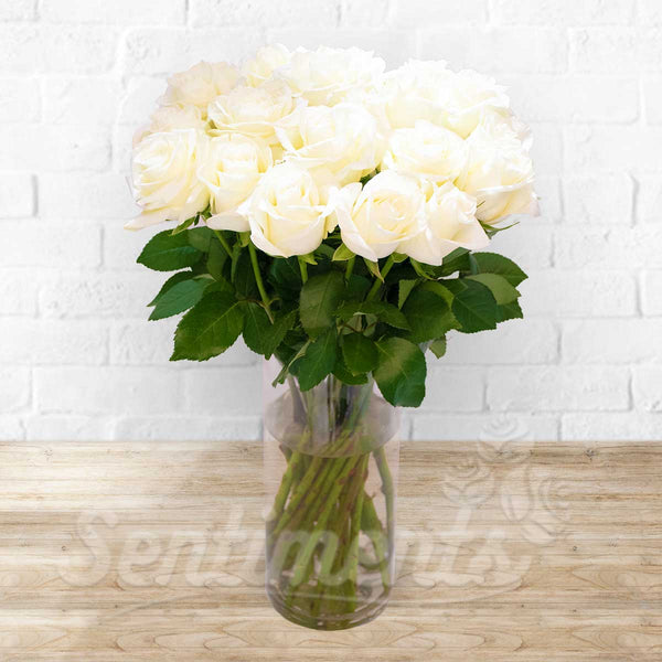 White Roses in Vase