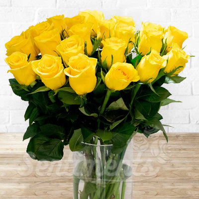 Yellow Sunshine Beauty Roses on a GlassVase