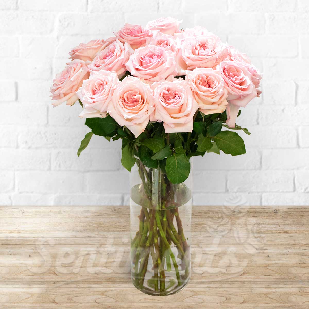 Pink Roses in Vase