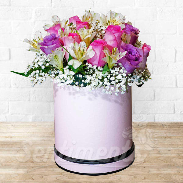 Box of Mixed Colors